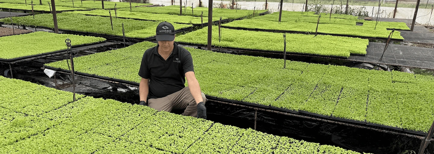 en la huerta